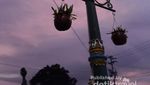 Malioboro yang Legendaris dan Selalu Dirindukan