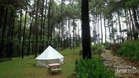 Bisa camping