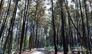 Manfaatkan Libur Sekolah Dengan Berwisata ke Gunung Pancar di Bogor