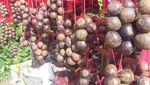 Manggis, Buah Tangan Manis dari Pidie Jaya Aceh