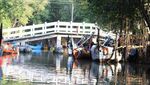 Mangrove Morodemak, Surga Tersembunyi di Pesisir Pantai Demak