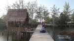 Mangrove Park di Negeri Laskar Pelangi