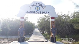 Mangrove Park di Negeri Laskar Pelangi