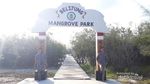 Mangrove Park di Negeri Laskar Pelangi