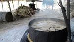 Manisan Tebu, Buah Tangan yang Manis Dari Aceh