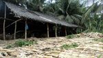 Manisan Tebu, Buah Tangan yang Manis Dari Aceh