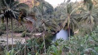 Kali Oyo