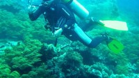 Jangan lupa diving di sini ya! (Rizki Mahesar/dTraveler)