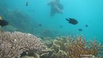 Mari Kita ke Karimunjawa
