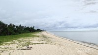 Garis pantai yang panjang