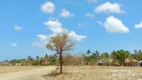 Pulau Masalembu Tandus dan gersang