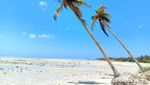 Masalembu, Kepulauan di Segitiga Bermuda Indonesia