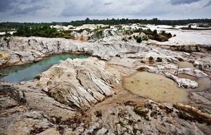 Masih Ada Surga di Balik Tambang Timah Pulau Bangka