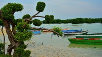 perahu-perahu sewaan yang sedang bersandar