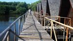Masih Libur? Yuk Jelajah Hijaunya Hutan Mangrove Jakarta
