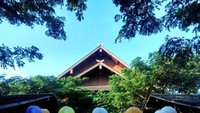 Hutan mangrove di PIK