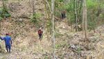 Masuk ke Perut Bumi di Gua Mburi Omah, Gunungkidul
