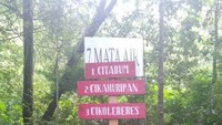 7 sumber mata air Citarum