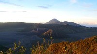 Bromo