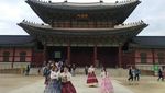 Mau Apply Visa Korea? Baca Dulu Ini