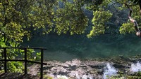 Macritchie Reservoir