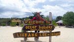 Mau Berenang Bareng Penyu Raksasa, Ini Lokasinya