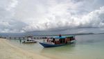 Mau Berenang Bareng Penyu Raksasa, Ini Lokasinya