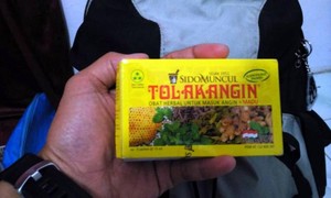 Mau Berenang Bareng Penyu Raksasa, Ini Lokasinya