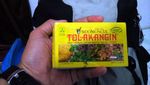 Mau Berenang Bareng Penyu Raksasa, Ini Lokasinya