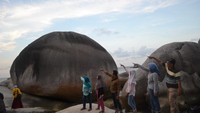 Pulau Tanjung Kelayang