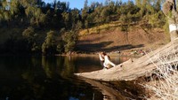 Air Ranu Kumbolo yang masih layak untuk diminum langsung