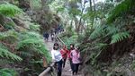 Mau Kemana Weekend Ini? Yuk ke Tangkuban Perahu Aja