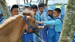 Mau Liburan Gaya Sultan? Coba Saja Wisata Berkuda