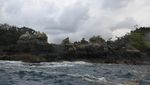 Mau Lihat Lumba-lumba? Pantai Kiluan Tempatnya