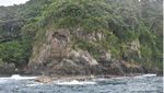 Mau Lihat Lumba-lumba? Pantai Kiluan Tempatnya