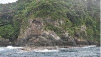 kiluan beach