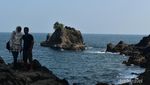 Mau Lihat Lumba-lumba? Pantai Kiluan Tempatnya