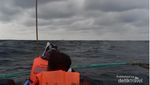 Mau Lihat Lumba-lumba? Pantai Kiluan Tempatnya