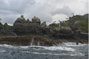 Mau Lihat Lumba-lumba? Pantai Kiluan Tempatnya