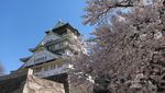 Mau Menikmati Sakura di Jepang? Ini 5 Tempat Terbaiknya
