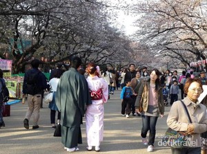 Mau Menikmati Sakura di Jepang? Ini 5 Tempat Terbaiknya