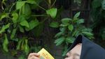 Mau Seharian Main di Solo, Ini Destinasinya