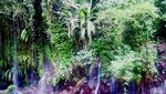 Mau Wisata ke Luar Negeri? Mampir Baturraden Saja Dulu