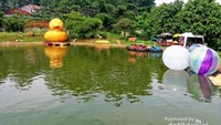 Wahana bebek air
