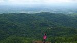 Mau Wisata Romantis, Ajak Pasangan Kamu ke Hutan Pinus di Bantul
