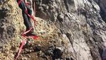 Medan Ekstrem untuk Taklukkan Gunung Raung, Berani?
