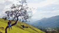 Padang Nuat adalah salah satu dari sekian banyak padang tercantik dikabupaten ini.