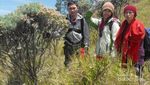 Melepas Jenuh di Gunung Merbabu
