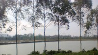 Panorama Situ Cileunca dilihat dari kebun cabe dengan Jembatan Cinta melintang di tengah danau