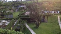 Arsitektur Tea Garden Resort yang tampak menyatu dengan alam sekitarnya